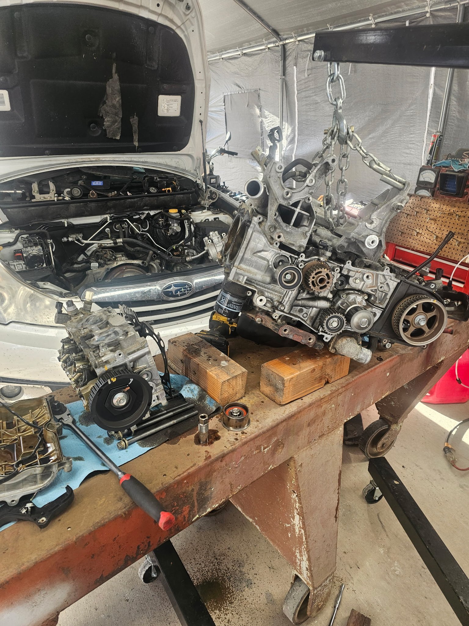 IMG_20260717_020205_1784236105.jpg